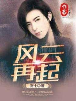 风云再起,时代浪潮中的英雄传奇