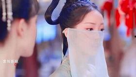 特搜9 第五季,揭秘犯罪背后的真相，正义与邪恶的较量